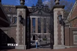 Khuôn viên Trường Đại học Harvard ở Cambridge, Massachusetts, Mỹ ngày 15/4/2025. (Ảnh: Reuters/TTXVN)