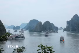 Phong cảnh Vịnh Hạ Long thu hút nhiều du khách đến tham quan, khám phá. (Ảnh: Hoàng Hiếu/TTXVN)