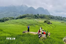 Khu du lịch cộng đồng Pù Luông (Thanh Hóa) thu hút khách du lịch trong nước và quốc tế. (Ảnh: Hoa Mai/TTXVN)