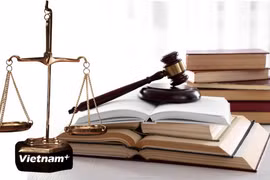 Chính phủ giao Bộ Tư pháp chủ trì, phối hợp với các bộ, cơ quan liên quan tiếp tục rà soát, đánh giá kỹ tác động của chính sách để bảo đảm tính khả thi, thống nhất, đồng bộ của hệ thống pháp luật và hoàn thiện nội dung của các chính sách. (Nguồn: Vietnam+)