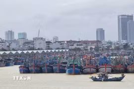 Tàu thuyền neo đậu tại âu thuyền Thọ Quang (phường Sơn Trà, thành phố Đà Nẵng) để tránh trú bão. (Ảnh: Khoa Chương/TTXVN)