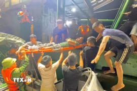 Ngư dân Trần Huy Biên được cán bộ chiến sĩ Đồn Biên phòng Quỳnh Thuận, Bộ đội Biên phòng Nghệ An, cứu hộ, đưa vào bờ cấp cứu an toàn. (Ảnh: TTXVN phát)