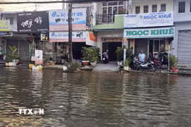 Triều cường tại Cà Mau khiến nhiều tuyến phố trong nội đô của tỉnh bị ngập, gây khó khăn cho người dân. (Ảnh: Trung Hiếu/TTXVN)