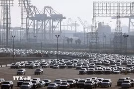 Xe ôtô nhập khẩu chờ bốc dỡ tại cảng Long Beach, California, Mỹ. (Ảnh: AFP/TTXVN)