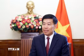 Thứ trưởng Bộ Ngoại giao Nguyễn Mạnh Cường. (Ảnh: An Đăng/TTXVN)
