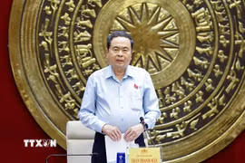 Chủ tịch Quốc hội Trần Thanh Mẫn phát biểu. (Ảnh: Doãn Tấn/TTXVN)
