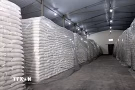 Gạo là một mặt hàng dự trữ Quốc gia tại Điểm kho 7 thuộc Chi cục Dự trữ Nhà nước khu vực III. (Ảnh: Phạm Hậu/TTXVN)