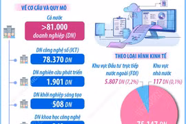 Doanh nghiệp công nghệ số giữ vai trò chủ lực trong hệ sinh thái đổi mới..