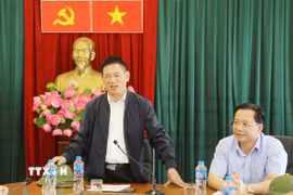 Phó Thủ tướng Chính phủ Hồ Đức Phớc phát biểu tại buổi làm việc. (Ảnh: TTXVN phát)
