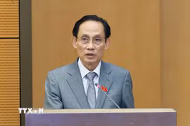 Bộ trưởng Ngoại giao Lê Hoài Trung. (Ảnh: Doãn Tấn/TTXVN)