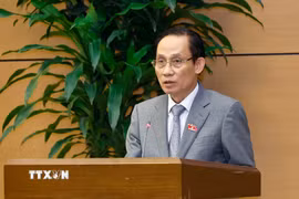 Bộ trưởng Ngoại giao Lê Hoài Trung. (Ảnh: Doãn Tấn/TTXVN)