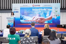 Tọa đàm “Kinh tế bạc và mô hình chăm sóc người cao tuổi” tại Thành phố Hồ Chí Minh. (Ảnh: Đinh Hằng/TTXVN)