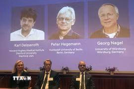 Chân dung các nhà khoa học (từ trái sang) đoạt giải Nobel Y Sinh 2026 Karl Deisseroth (Mỹ), Peter Hegemann và Georg Nagel (Đức) với những phát hiện liên quan đến công nghệ quang di truyền học. (Ảnh: AA/TTXVN phát)