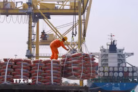 Bốc xếp hàng hóa tại Cảng Tiên Sa, Đà Nẵng. (Ảnh: Trần Lê Lâm/TTXVN)