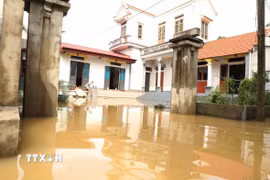 Một hộ dân thôn Gia Thủy, xã Gia Tường tranh thủ dọn dẹp ổn định cuộc sống khi nước rút. (Ảnh: Đức Phương/TTXVN)