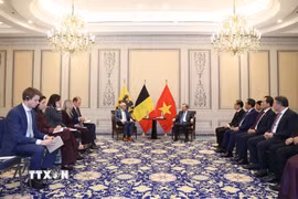 Tổng Bí thư, Chủ tịch nước Tô Lâm tiếp Bộ trưởng, Thủ hiến vùng Flanders Matthias Diependaele. (Ảnh: Thống Nhất/TTXVN)