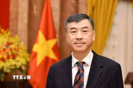 Đại sứ Việt Nam tại CH Séc, ông Dương Hoài Nam. (Ảnh: TTXVN phát)
