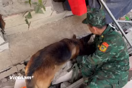 Chó nghiệp vụ Việt Nam phát hiện vị trí nguồn hơi. (Ảnh: TTXVN)