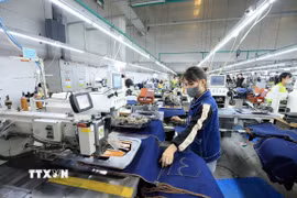 Ảnh minh họa. (Ảnh: Tuấn Anh/TTXVN)