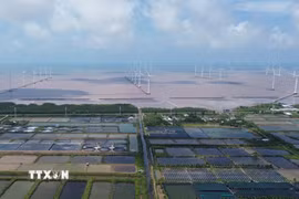Các dự án điện gió hoạt động ven biển Đông tại xã Vĩnh Hậu, tỉnh Cà Mau. (Ảnh: Tuấn Phi/TTXVN)