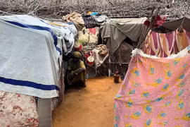 Nơi trú ngụ của người tị nạn ở trại Zamzam, Bắc Darfur, Sudan, ngày 1/8/2024. (Ảnh: Reuters)