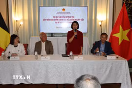 Đại sứ Nguyễn Hương Trà thông báo tình hình đất nước tới đại diện cộng đồng người Việt tại Bỉ và Luxembourg. (Ảnh: Lan Anh/TTXVN)