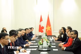 Tổng Bí thư, Chủ tịch nước Tô Lâm tiếp Nhóm Nghị sỹ hữu nghị Canada - Việt Nam. (Ảnh: Thống Nhất/TTXVN)