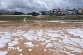 Những dải bọt trắng kéo dài, dày đặc, phủ kín đoạn sông Kỳ Cùng. (Ảnh: Quang Duy/TTXVN)