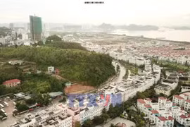Quảng Ninh: Trao "cần câu" để người sau cai nghiện làm lại cuộc đời