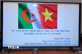 Thương vụ Việt Nam tại Algeria kiêm nhiệm Senegal và Tunisia đã tổ chức Phiên tư vấn xuất khẩu. (Ảnh: Mạnh Hùng/TTXVN)