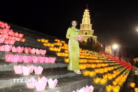 Ảnh minh họa. (Ảnh: Mạnh Tú/TTXVN)