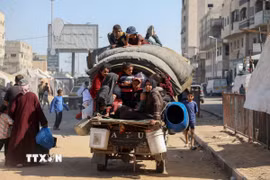 Người dân Palestine mang theo đồ đạc trở về thành phố Gaza ngày 11/10/2025. (Ảnh: THX/TTXVN)