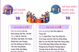 Bầu cử Quốc hội và HĐND: 4 đơn vị bầu cử của tỉnh Lào Cai