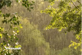 Ảnh minh họa. (Nguồn: Vietnam+)
