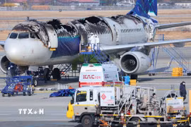 Hiện trường vụ cháy máy bay của Hãng hàng không Air Busan ở sân bay quốc tế Gimhae, Hàn Quốc, ngày 29/1/2025. (Ảnh: Yonhap/TTXVN)