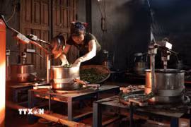 Hợp tác xã Nông sản Liên Minh, tỉnh Thái Nguyên, ổn định việc làm cho hàng trăm hội viên. (Ảnh: Trần Việt/TTXVN)
