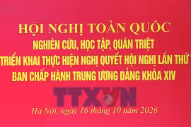 Tổng Bí thư, Chủ tịch nước Tô Lâm: Chủ trương đúng phải trở thành năng lực phát triển thực chất