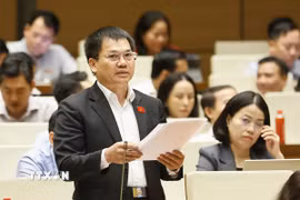 Đại biểu Quốc hội tỉnh Lâm Đồng Dương Khắc Mai phát biểu. (Ảnh: Doãn Tấn/TTXVN)