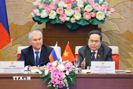 Chủ tịch Quốc hội Trần Thanh Mẫn phát biểu khai mạc Phiên họp. (Ảnh: Doãn Tấn/TTXVN)