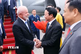 Bộ trưởng Bộ Nông nghiệp và Môi trường Đỗ Đức Duy đón Tổng thống Brazil Luiz Inácio Lula da Silva tại Sân bay quốc tế Nội Bài, Hà Nội. (Ảnh: Phạm Kiên/TTXVN)