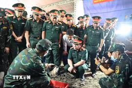 Đại tướng Nguyễn Trọng Nghĩa, Chủ nhiệm Tổng cục Chính trị Quân đội nhân dân Việt Nam trực tiếp kiểm tra công tác tìm kiếm, quy tập hài cốt liệt sỹ tại địa điểm khai quật trong công viên Lê Thị Riêng. (Ảnh: Xuân Khu/TTXVN)