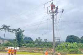 Công ty Điện lực Sơn La nỗ lực khắc phục sự cố, cấp điện trở lại ngay trong ngày cho khách hàng. (Ảnh: TTXVN phát)