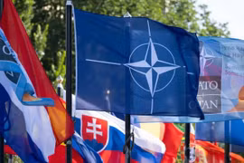 Hình ảnh cờ NATO và cờ của các nước thành viên NATO trong Hội nghị thượng đỉnh NATO tháng 6/2025 tại The Hague, Hà Lan. (Nguồn: Getty Images)