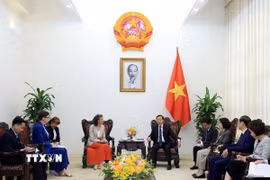 Phó Thủ tướng Trần Hồng Hà tiếp Trưởng đại diện WTO và Trưởng đại diện UNDP tại Việt Nam. (Ảnh: Tuấn Anh/TTXVN)