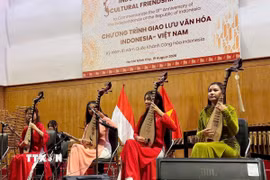 Tiết mục văn nghệ do các nghệ sỹ Việt Nam trình diễn. (Ảnh: Xuân Khu/TTXVN)