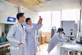 Triển khai Nghị quyết 57, Viện Hàn lâm Khoa học và Công nghệ Việt Nam luôn chú trọng đào tạo nhân lực cao trong lĩnh vực khoa học công nghệ. (Ảnh: Diệu Thúy/TTXVN)