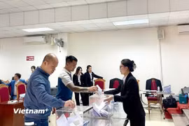 Huyện Mê Linh ước thu 120 tỷ đồng từ phiên đấu giá 29 thửa đất xã Chu Phan (đợt 1) ngày 4/4. (Ảnh: Minh Nghĩa/Vietnam+)