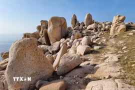 Các khối đá granite trong Công viên đá Vườn quốc gia Núi Chúa có đủ hình dáng, kích thước. (Ảnh: Nguyễn Thành/TTXVN)