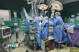 Tính đến tháng 9/2026, Bệnh viện Đà Nẵng đã thực hiện 53 ca ghép thận, 10 ca ghép tế bào gốc tạo máu tự thân, 5 ca ghép gan từ người hiến sống. (Ảnh: Mỹ Hà/TTXVN)