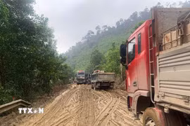 Các phương tiên tham gia giao thông trên tuyến quốc lộ 14D rất khó khăn do tuyến đường bị xuống cấp nghiêm trọng. (Ảnh: Trần Tĩnh/TTXVN)